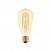 LED Glühbirne Golden Carbon Line Cage Filament Edison ST64 7W 640Lm E27 2700K Dimmbar - C54