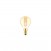 LED Gouden LED Carbon filament lamp C52 Mini Globe G45 3,4W E14 Dimbaar 2700K