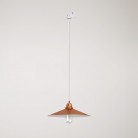 Pendant lamp with Swing shade for tracks