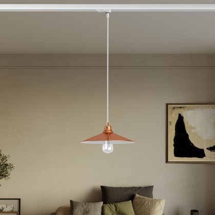 Pendant lamp with Swing shade for tracks