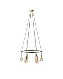 6 Pendels Cage Globe Lamp